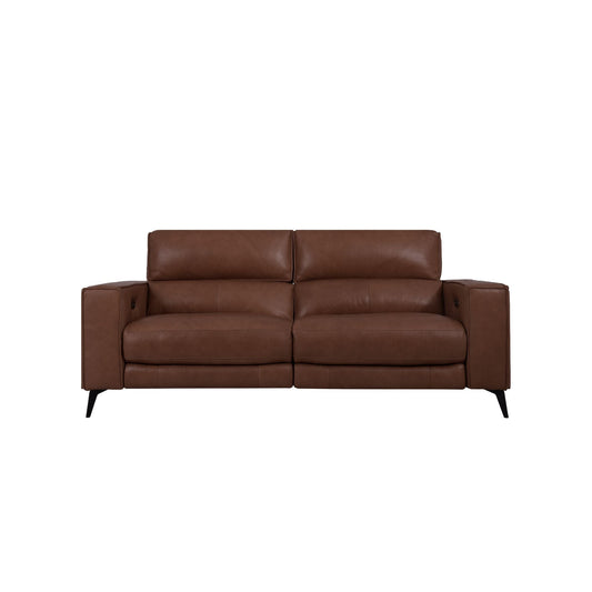 Santa Leather 2-Seater Storage Recliner Sofa (Dark Brown)