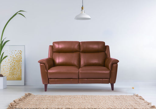 Symphony 2-Seater Half Leather Sofa With Recliner (Brandy, Brown)