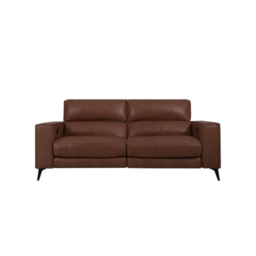 Santa Leather 2-Seater Storage Recliner Sofa (Dark Brown)