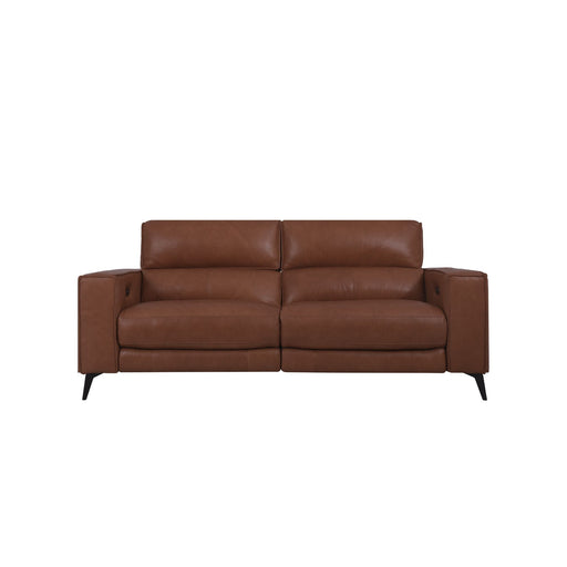 Santa Leather 2-Seater Storage Sofa With Recliner (Chocolate Brown)
