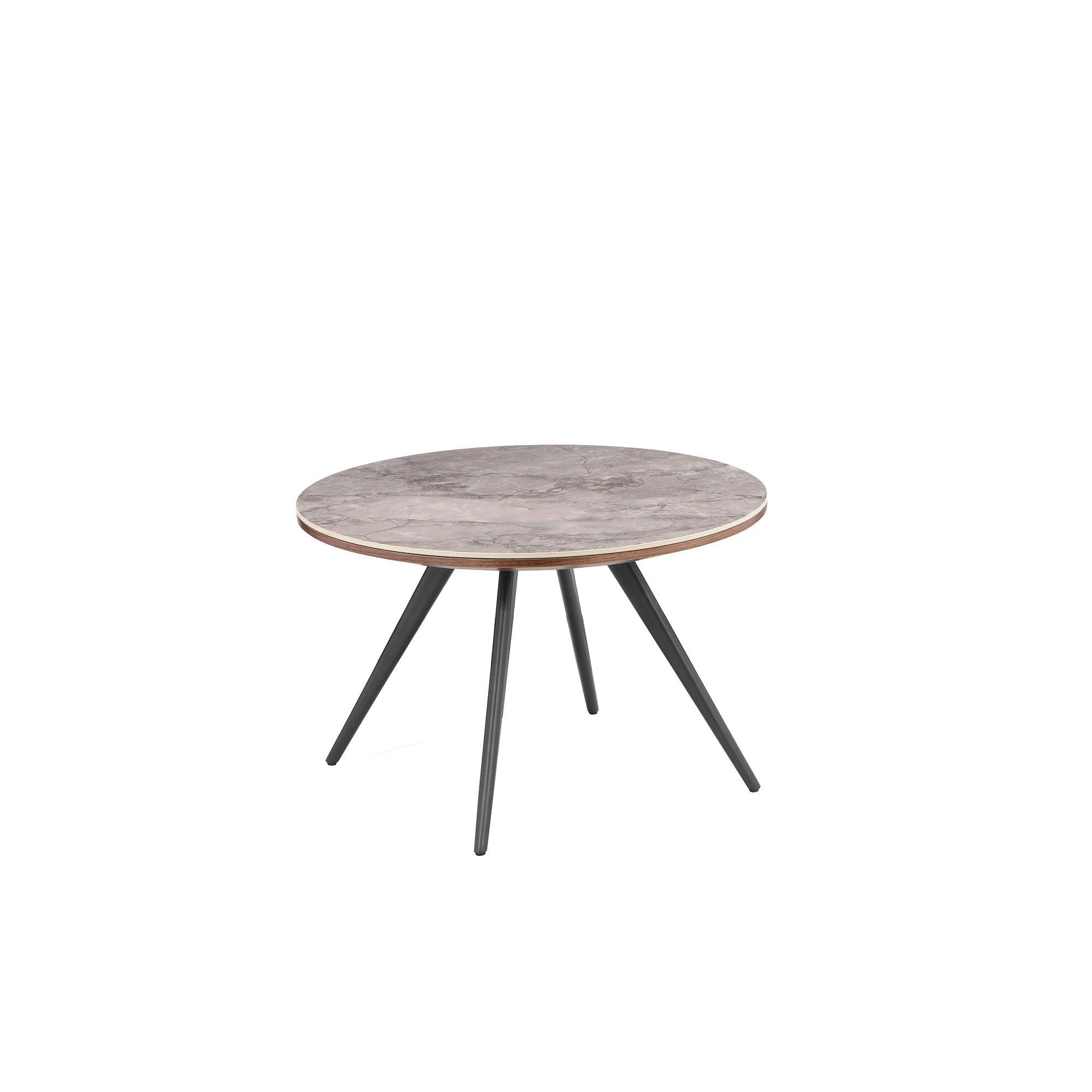 Dublin Coffee Table, Grey Marble Grain Ceramic Top, 58cm — Homestolife.in